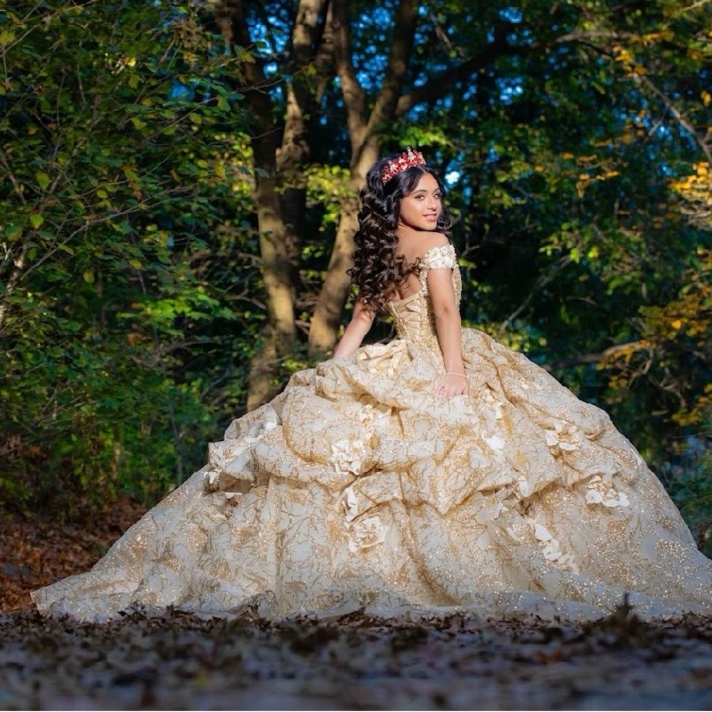 Elegant Gold Ball Gown